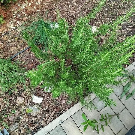 A Away From Home! Feriehus *