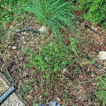 A Away From Home! Dom wakacyjny Stupava