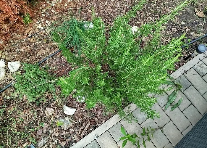 A Away From Home! Semesterbostad *