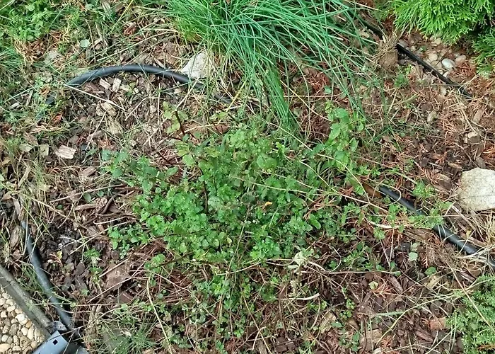 A Away From Home! Σπίτι διακοπών Stupava